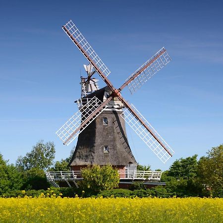 Haus Stoertebecker Appartement Wyk auf Föhr Buitenkant foto